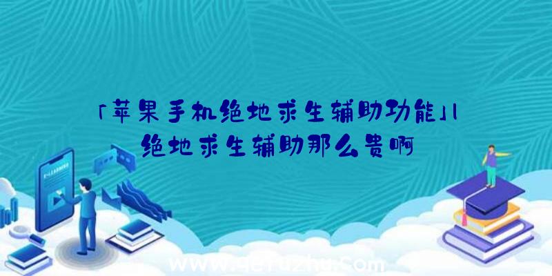 「苹果手机绝地求生辅助功能」|绝地求生辅助那么贵啊